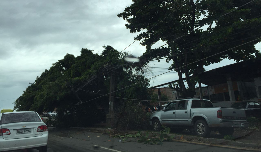  Queda de árvore atinge fiação elétrica em São Luís