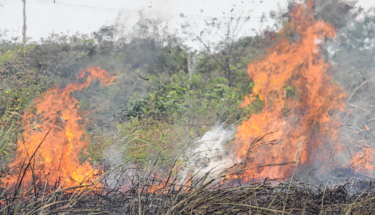  MA é 3º em focos de queimadas em 2018, diz Inpe