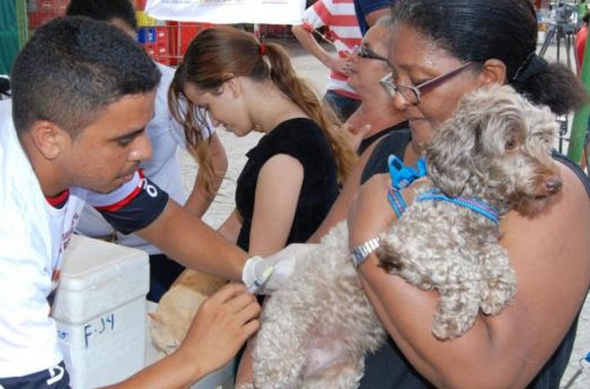  UEMA realiza ação de castração de animais em São Luís