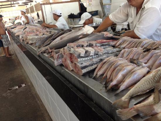  Pescados tem preços oscilantes em São Luís