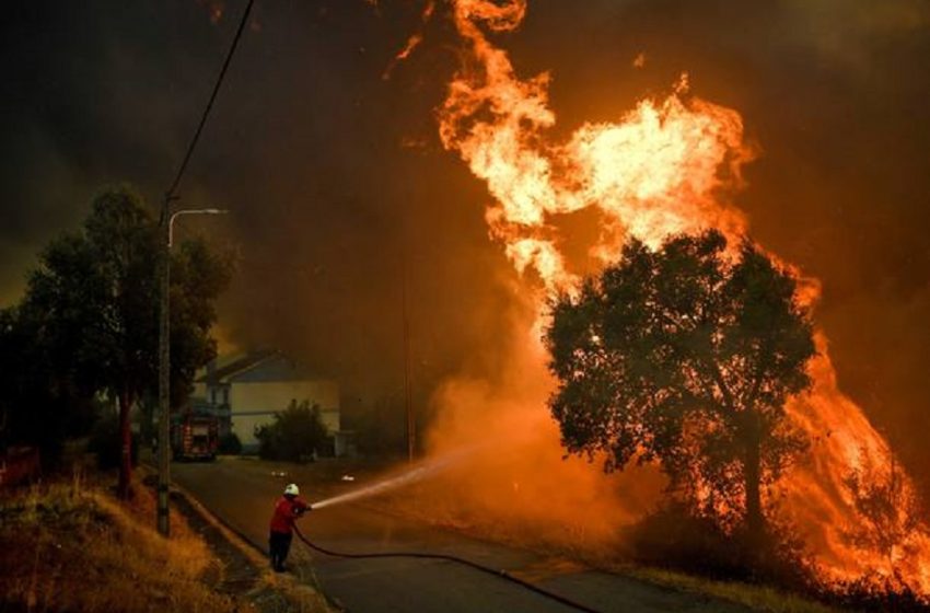  Bombeiros controlam incêndio em Abrantes, centro de Portugal