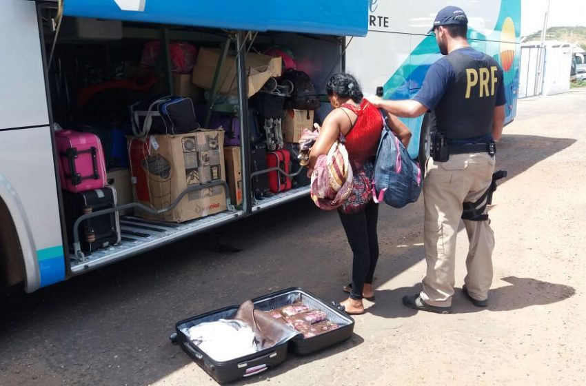  Mulher é presa com 7 Kg de maconha dentro de ônibus em Lagoa Verde-MA