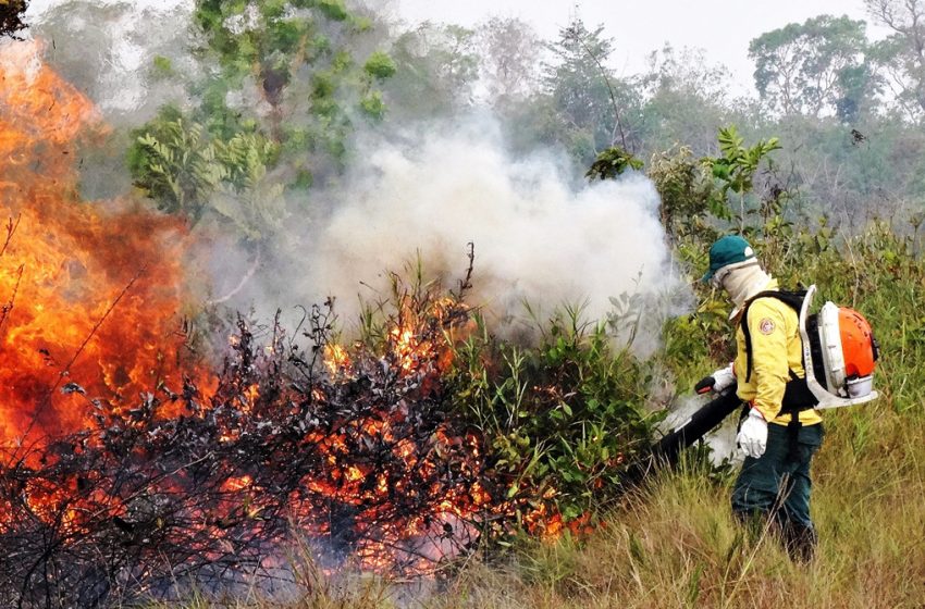  MA: mais de 22 mil focos de incêndio já foram registrados só este ano