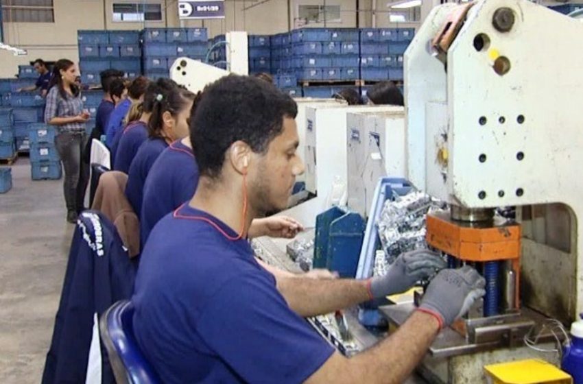  Apenas 30,1% dos jovens trabalhadores têm empregos formais no MA