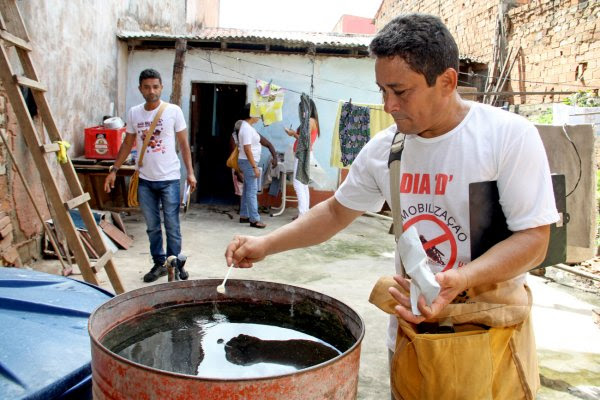  MA registra queda de 74% de casos de dengue