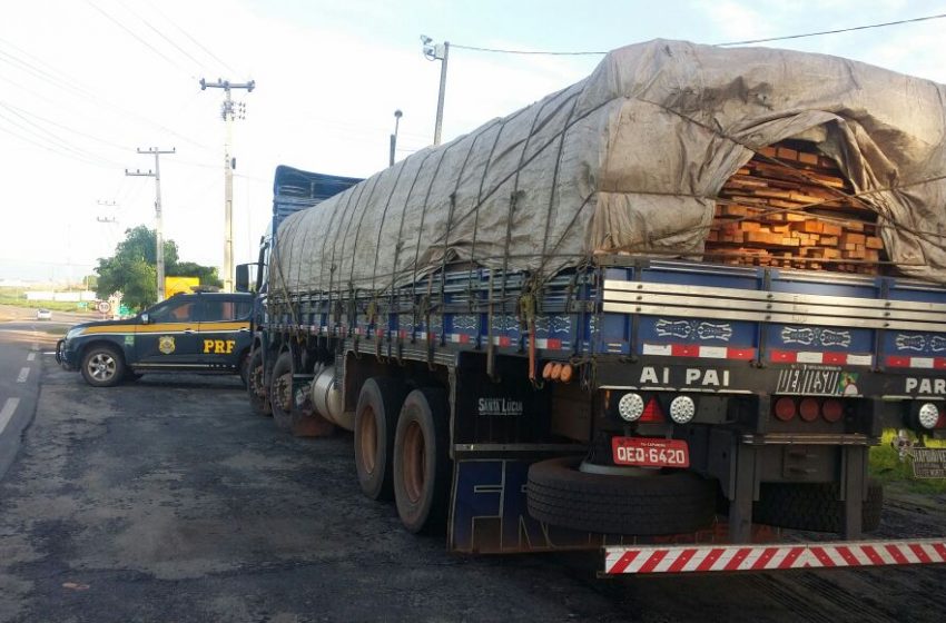  Carregamentos de madeira irregular são apreendidos em Santa Inês