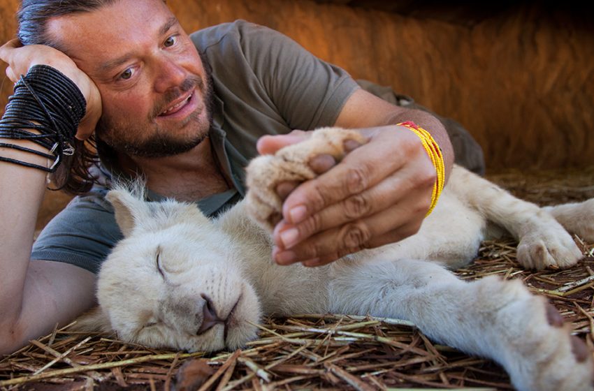  São Luís sedia neste sábado a primeira feira pet do MA