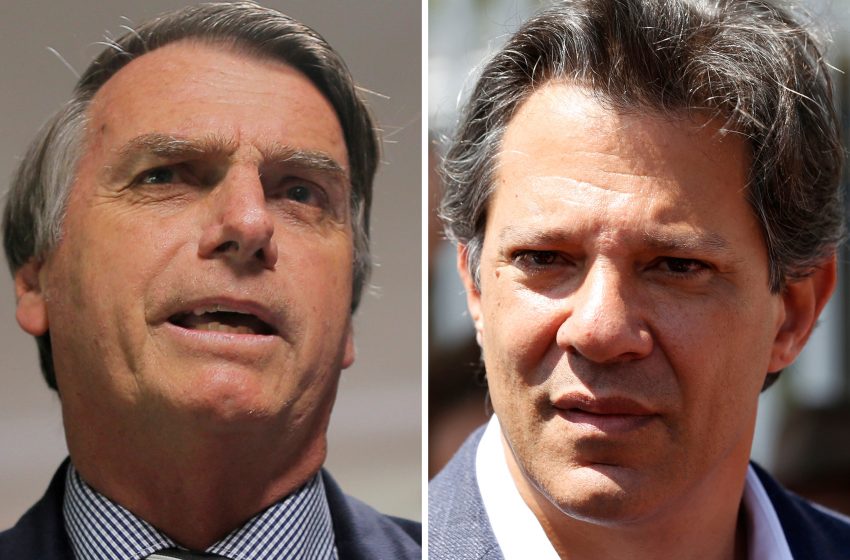  Pesquisa aponta Bolsonaro com 58% e Haddad com 42% dos votos válidos