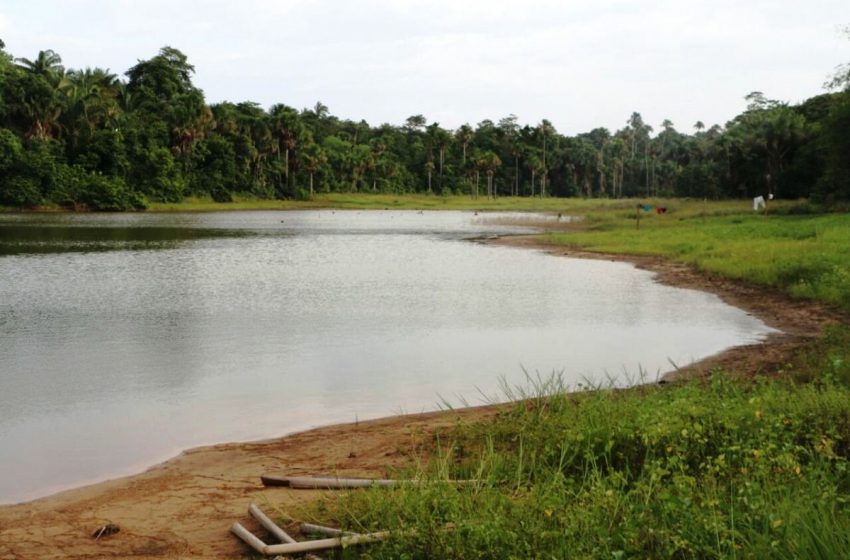  Limites do Parque Estadual do Bacanga é tema de audiência