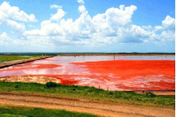  Alumar esclarece sobre suas barragens