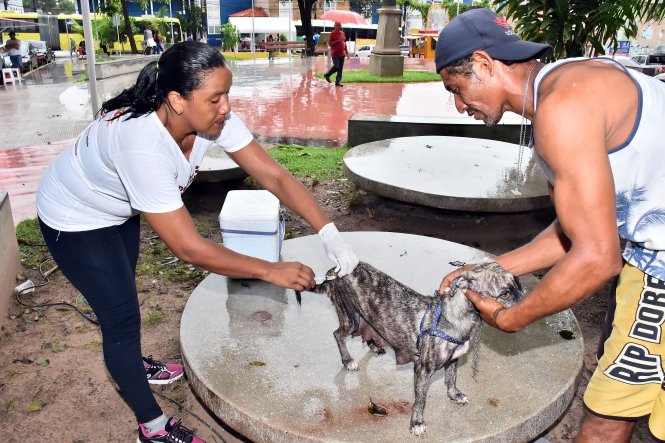  Prefeitura inicia vacinação antirrábica em SL