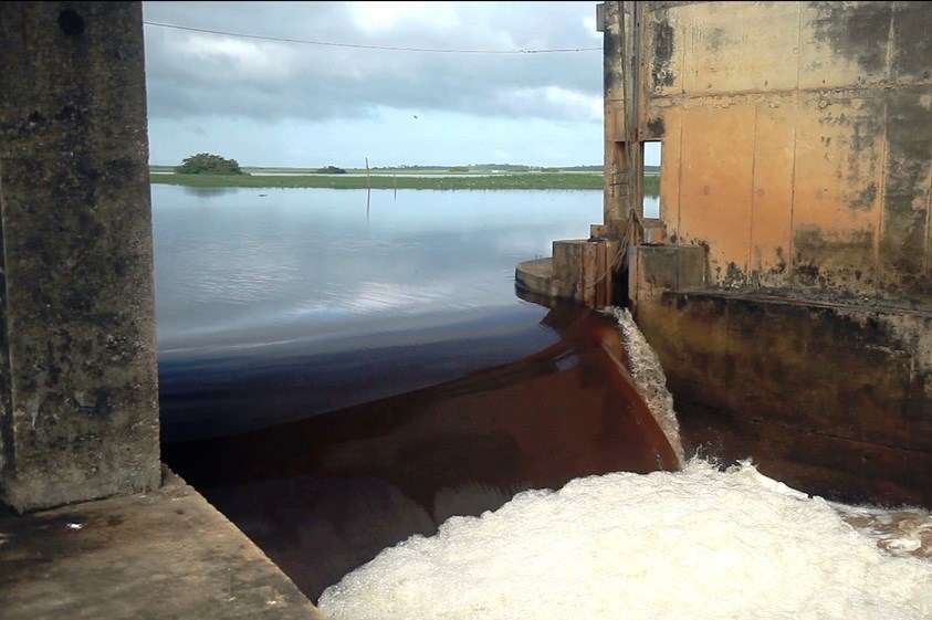  Barragem do Pericumã causa inundação em Pinheiro