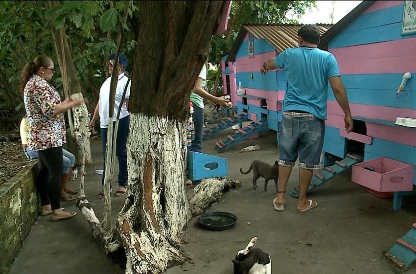  Voluntários cobram ações para impedir crimes contra animais