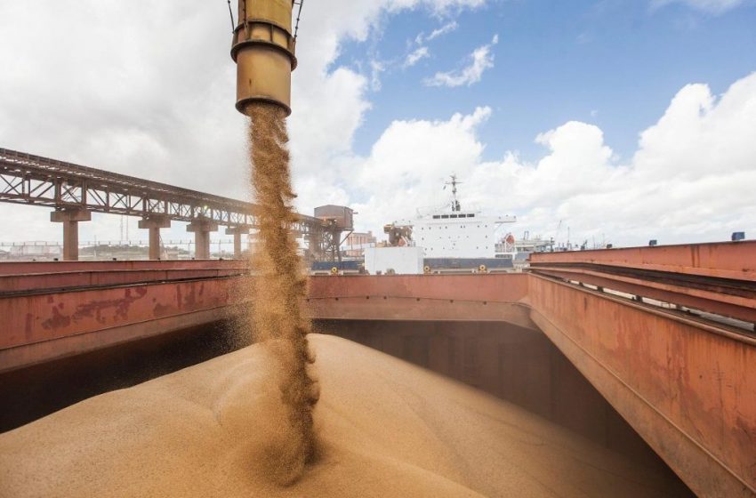  VLI eleva a movimentação de grãos no Maranhão