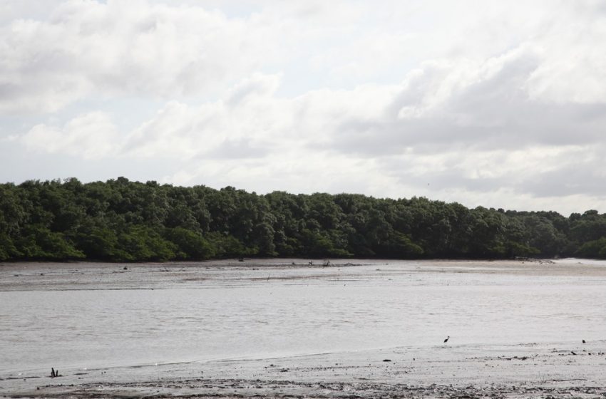  Danos causados ao Rio Paciência geram condenação