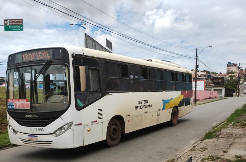  Ônibus semiurbanos voltam a circular na Grande Ilha